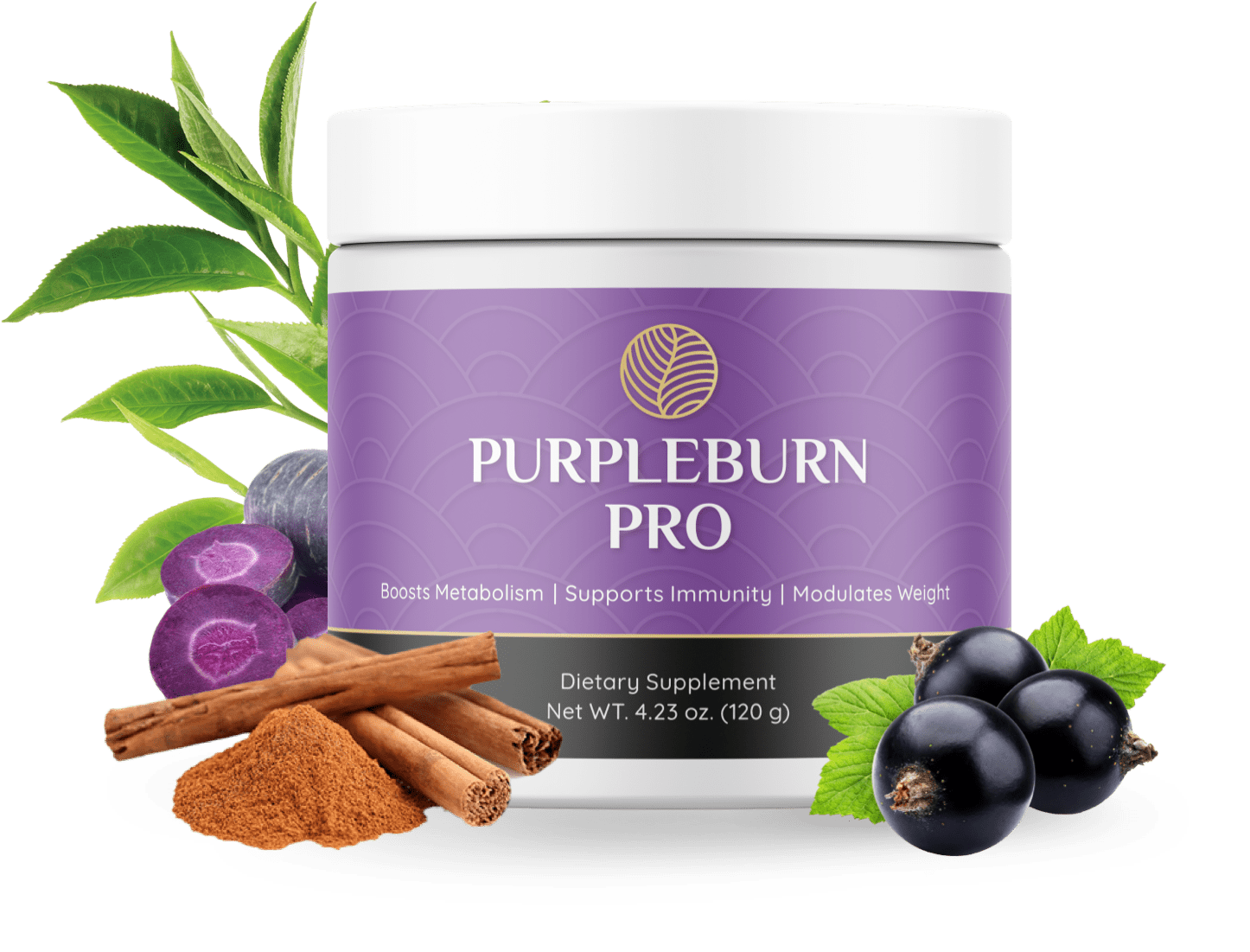 PurpleBurn Pro Powder